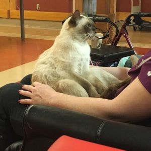 Meet your Posher, Ashley